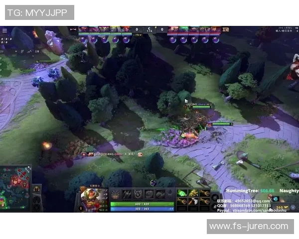 DOTA2纪实：记录RNG的转型之路