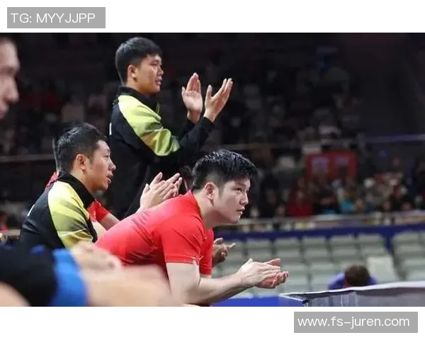 乒乓球巨献：探秘上海乒乓球队的比赛经验